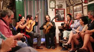 Zambra Flamenco  Sacromonte Granada Spain [upl. by Latoya911]