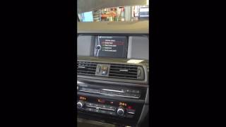 BMW 520d Service Light Reset 2010 [upl. by Barhos875]