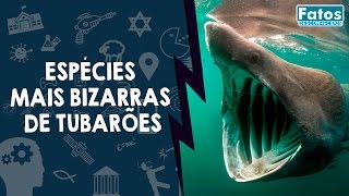 8 Espécies mais bizarras de Tubarões [upl. by Lyle293]