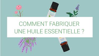 Comment fabriquer une huile essentielle [upl. by Inaoj626]