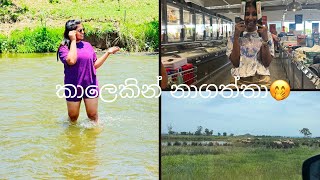 කාලෙකින් නාගත්තා🤭 ඇයි video නැත්තෙ👀 dayinmylife australianlife travevlog exploringnature [upl. by Einalem]