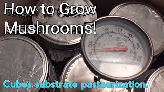 How to Grow mushrooms Cube substrate methodrecipe [upl. by Wolfie]