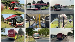 TTC NEW BUSES IN TRAINING [upl. by Assela413]