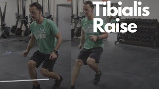 Tibialis Raise  How to do it and why it is important [upl. by Meli]