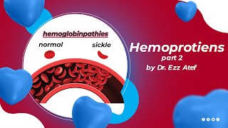 biochemistry  2nd year  2 Hemoproteins part 2 [upl. by Grenville589]