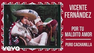 Vicente Fernández  Puro Cachanilla Cover Audio [upl. by Sollows323]