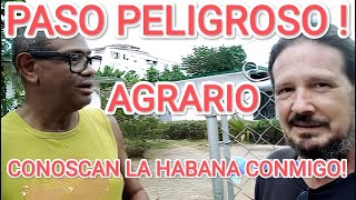 Agrario  CRUCE PELIGROSO [upl. by Jensen]