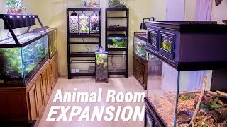 HUGE Animal Room Expansion part 1 [upl. by Eaves]