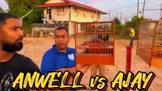 ANWELL vs AJAY🔥FUNDRAISER TOWA TOWA BIRD WHISTLING COMPETITION IN PORT MOURANT 🇬🇾 BIRD GROUND 2024 [upl. by Barbara-Anne163]