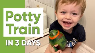 Three Day Potty Training Method [upl. by Naro]