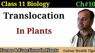 Translocation in plants  forms and function in plants  class 11th Biology [upl. by Lawry]