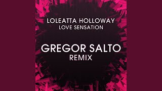 Love Sensation Gregor Salto Acid Instrumental [upl. by Mahmoud]