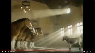 Budweiser Clydesdales Commercial Compilation [upl. by Anirol]