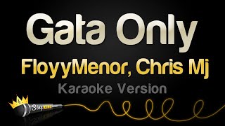 FloyyMenor Chris Mj  Gata Only Karaoke Version [upl. by Ardnas]