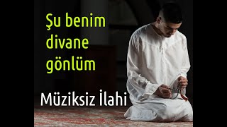 Şu benim divane gönlüm  Müziksiz İlahi [upl. by Izak248]