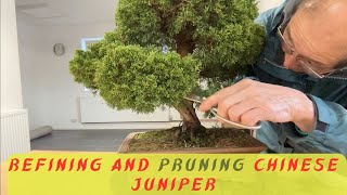 Pruning amp Refining Chinese Juniper Bonsai [upl. by Kcarb]