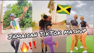 NEW JAMAICAN TIKTOK DANCE MASHUP 2024 [upl. by Ahsienar]