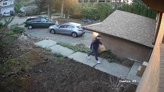 Package Thief Caught Casing My House Returns for Theft [upl. by Nolrac]