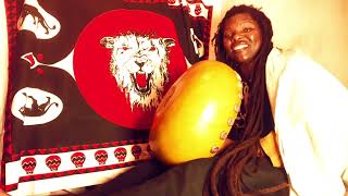 Linos Wengara Magaya amp Zimbaremabwe Mbira Vibes quotShanje Yemariquot 2016 Mbira Acoustic [upl. by Ellinehc]