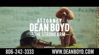 Attorney Dean Boyd Sod Poodles Video  English [upl. by Stiles]