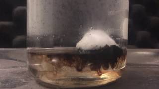 SULFURIC ACID vs COTTON BALL [upl. by Cummine]