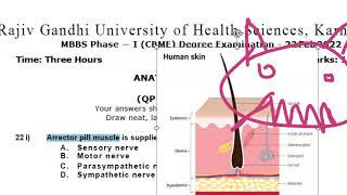 Anatomy 702 Arrector Pili Muscle Sympathetic Nerve PiloMotor Solved Question Paper MCQ [upl. by Hazel749]