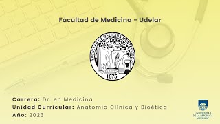 Articulación Coxo Femoral Parte 1 [upl. by Eylloh406]