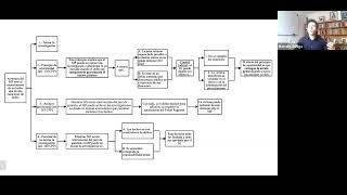 Esquema General del Proceso Penal [upl. by Sirob]