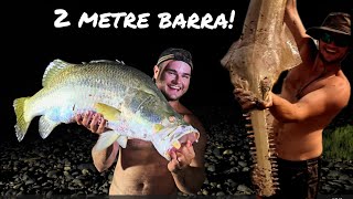 2 METRE BARRA IN ONE NIGHT  East Kimberley [upl. by Donata]