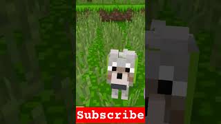 Minecraft hacks 😊minecraft gaming viral [upl. by Amsirp38]