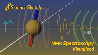 NMR spectroscopy visualized [upl. by Piefer51]