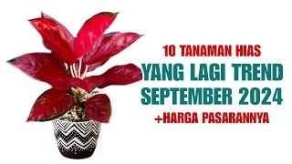 10 Tanaman Hias Yang Lagi Trend di Bulan September 2024 [upl. by Richardo]