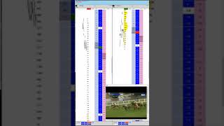 Betfair In play horse racing trading a Jumps race [upl. by Atiruam957]