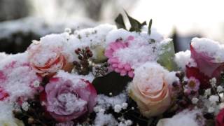 Die vier Jahreszeiten  Der Winter  The Four Seasons  winter  Antonio Vivaldi [upl. by Kcirdlek581]