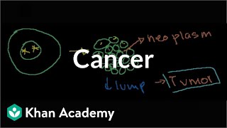 Cancer  Cells  MCAT  Khan Academy [upl. by Akeim]