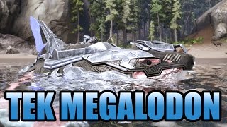 TEK MEGALODON UPDATE TERBARU DAN MEMBURU BURUNG  ARK SURVIVAL EVOLVED INDONESIA [upl. by Artenehs]