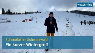 Schneefall im Schwarzwald  Ein kurzer Wintergruß [upl. by Johannah502]