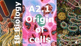 IB Biology – A21 Origin of Cells [upl. by Kalasky291]