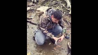 beautiful brown trout from the bushkill creek Easton pa [upl. by Ramu170]