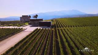 Podere Castorani  200 years of history in Abruzzo Italy [upl. by Eggett307]