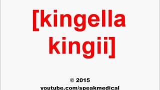 Pronounce Kingella kingii  SpeakMedical [upl. by Merriott]