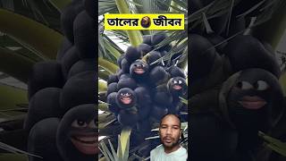 তালের জীবনে 😂  funnyvideo comedyshorts [upl. by Seton998]