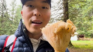 My First Time Mushroom Hunting And Making Friends With A Whole Group Of Really Cool People  Hiking [upl. by Bradford]