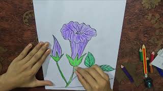 Captivating Purple Flower Art  Stunning Floral Photography by Our Art Studio [upl. by Gladine]