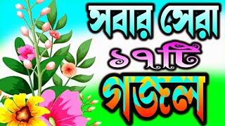 সকলের পছন্দের ১৭টি গজল  Islamic Gojal  Nahid Ghazal Gojal Gojol GhazalGhozalGazalGozal [upl. by Eseila719]