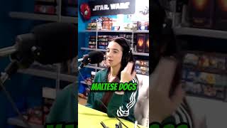 Maltese Problems shorts podcast malta comedy standupcomedy interview funny maltese lol [upl. by Sirrom]