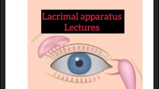 Lacrimal apparatus lectures part 1 Eye lectures eye jatoi lacrimalgland eyelectures [upl. by Aihppa]