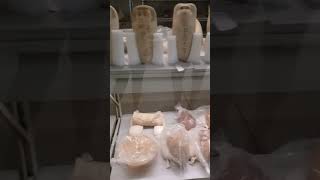 Canopic Jars Penn Museum [upl. by Anihcak]