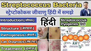 Streptococcus Pyogenes Bacteria  Streptococcus bacteria microbiology  Streptococcus bacteria notes [upl. by Lamdin]