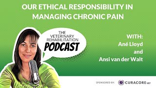 Our Ethical Responsibility in Managing Chronic Pain with Ansi van der Walt [upl. by Alyhc]